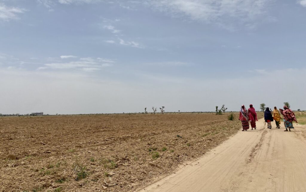 Group of people walking along a dirt road beside a plowed field under a blue sky with scattered clouds.