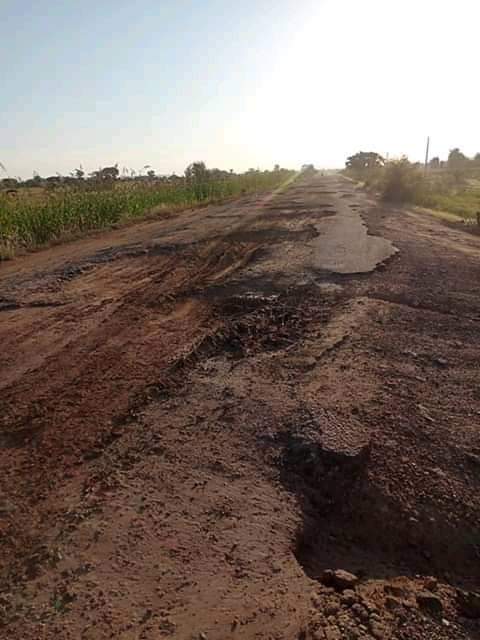 A damaged dirt road with ruts and potholes, surrounded by vegetation under a clear sky.