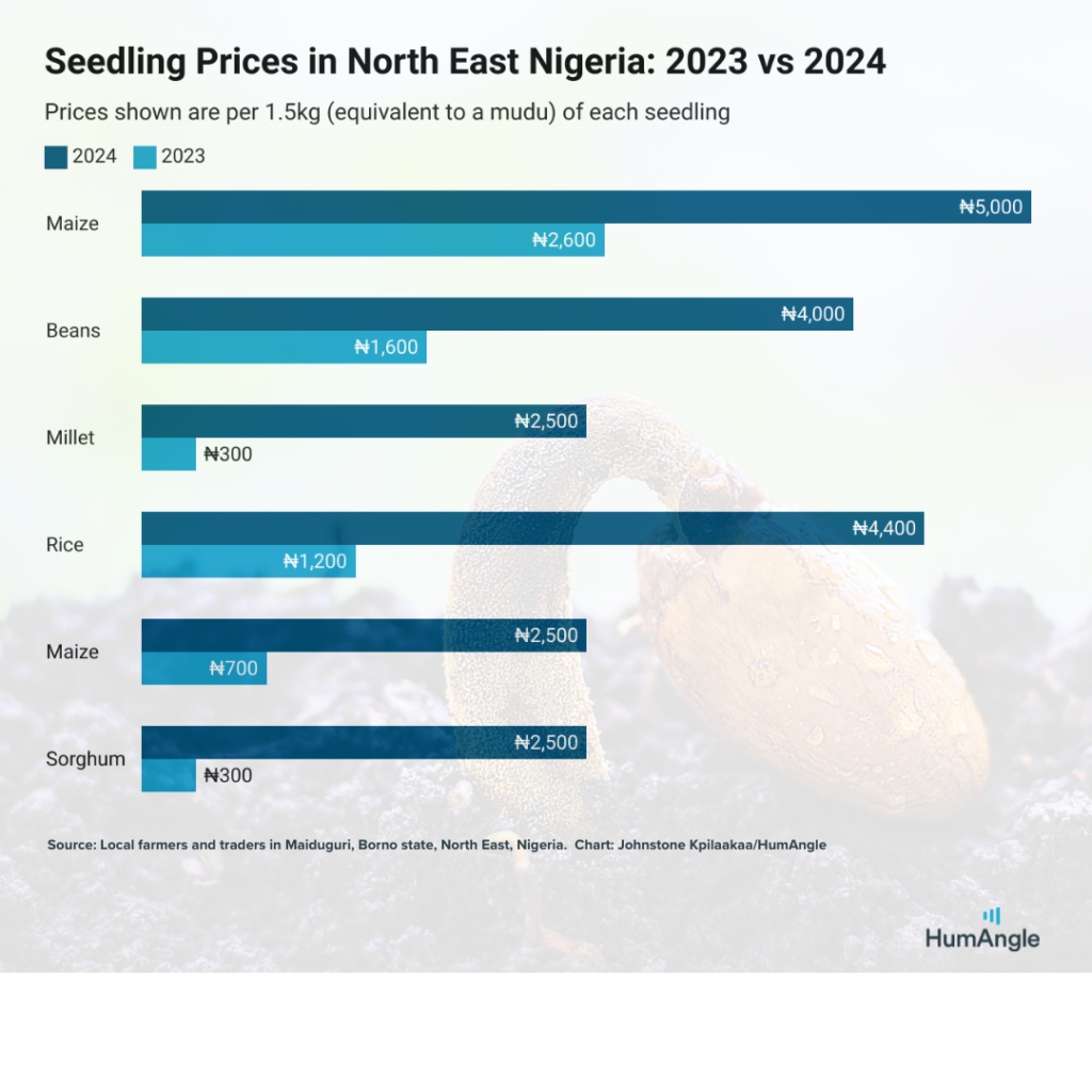 Bar chart comparing seedling prices in North East Nigeria for 2023 vs 2024 by crop type, including maize, beans, millet, rice, and sorghum.