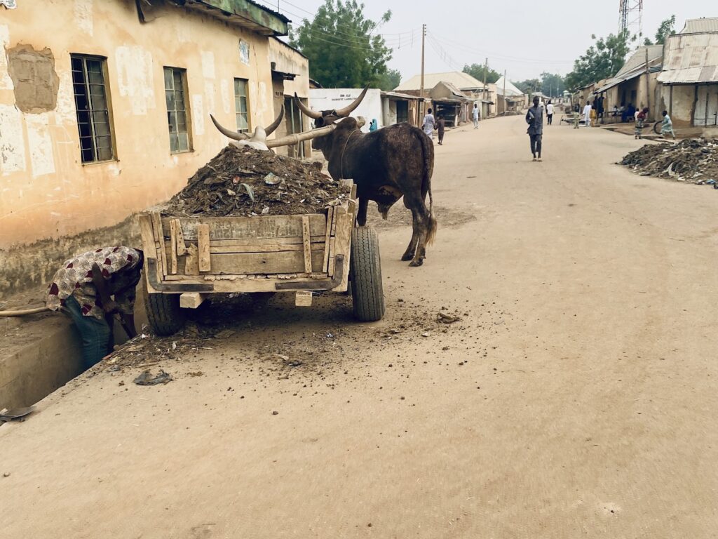 Bullock pulling a wooden cart loaded with debris on a dusty street, with a person crouched beside it.