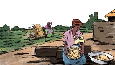 Illustration of rural farming scene with one person sifting grain and two others tilling the field.