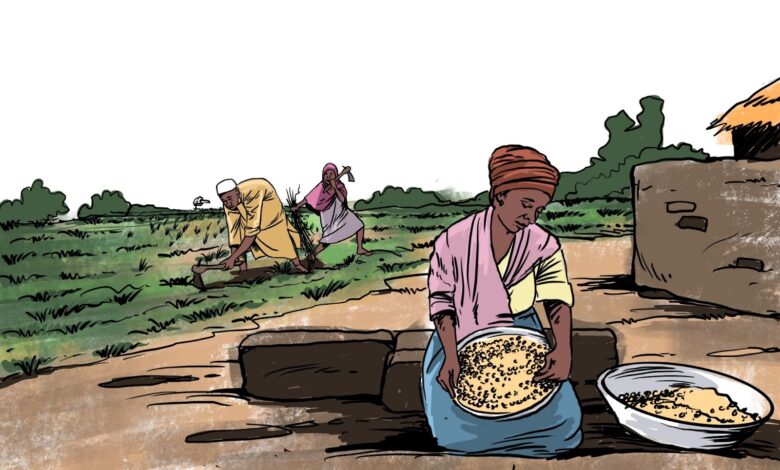 Illustration of rural farming scene with one person sifting grain and two others tilling the field.