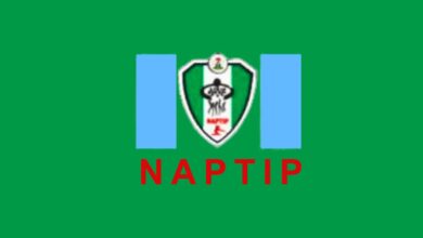 A green flag with a crest flanked by two blue vertical rectangles and the acronym "NAPTIP" in red at the bottom.