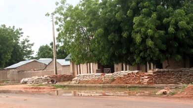 Rustic buildings with a sandbag barricade under leafy trees, near a puddle on a dirt road.