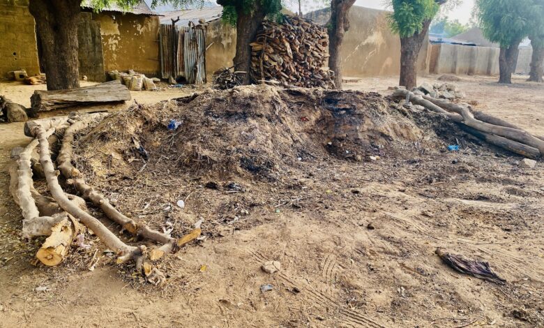 A rural setting with a mound of dirt, stacks of firewood, mud walls, and trees.