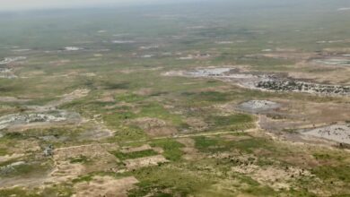 Aerial view of a floodplain with water bodies, patches of greenery, and scattered trees.