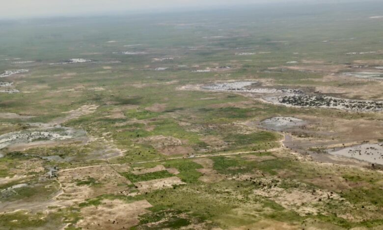 Aerial view of a floodplain with water bodies, patches of greenery, and scattered trees.