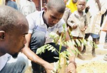 Two men planting a tree with curious children watching in the background.