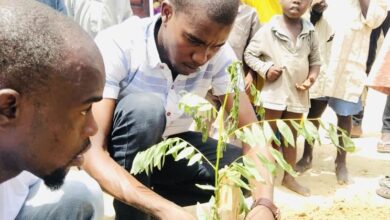 Two men planting a tree with curious children watching in the background.