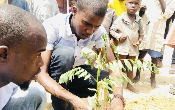 Two men planting a tree with curious children watching in the background.