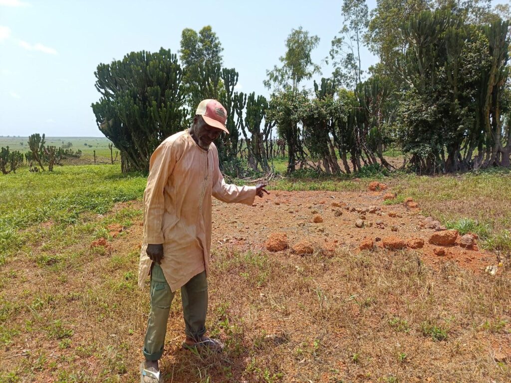 Man in overalls presenting a field with termite mounds, cactus plants in the background.