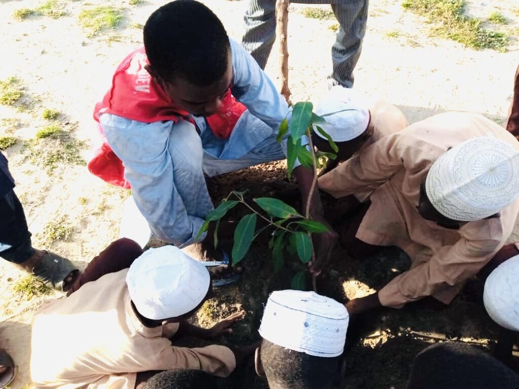 People planting a young tree together outdoors, engaging in a community tree-planting activity.