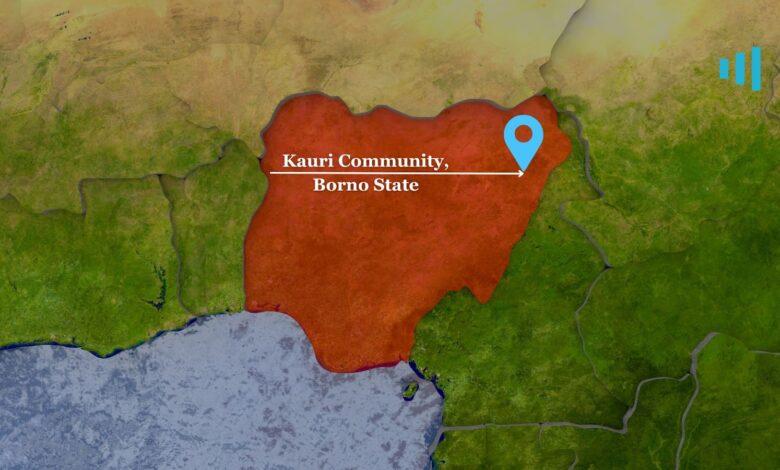 Map highlighting Kauri Community in Borno State with a location marker.