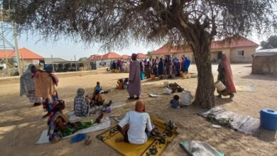 People gathering under a tree in a sandy area with mats, containers, and buildings in the background.