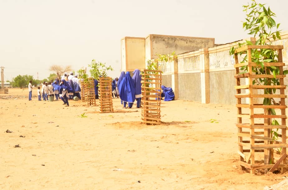 Students in blue uniforms at a sandy schoolyard, with trees and wooden structures.