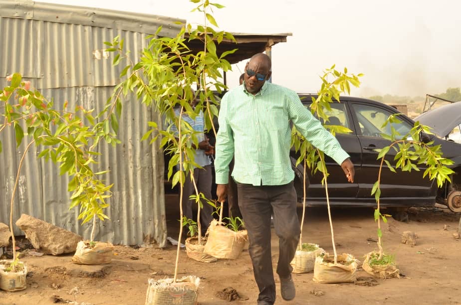 Man in sunglasses walking past young trees in bags near a metal structure and a car.