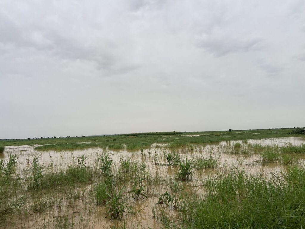 Expansive floodplain with sparse vegetation under an overcast sky.