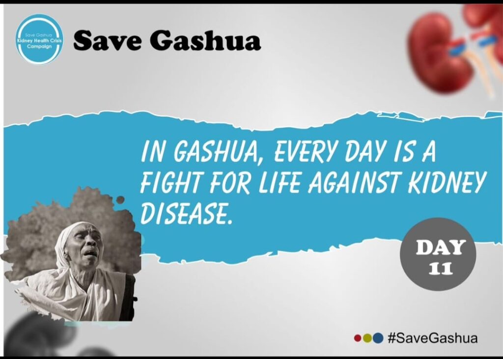 Awareness poster "Save Gashua" on kidney disease with an image of an emotional elderly woman, campaign logo, and Day 11 marker. #SaveGashua