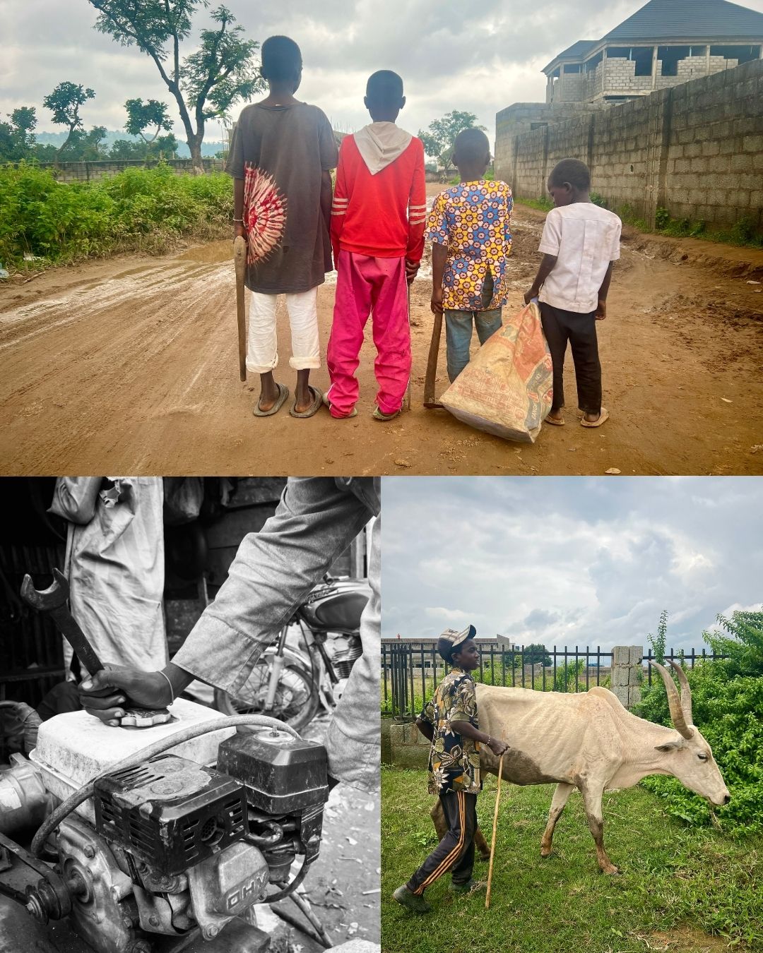 Collage of three images: children on a dirt road, person operating machinery, and a man walking with a goat.