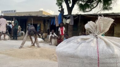 People in a market with large bags in the foreground and a tree providing shade.