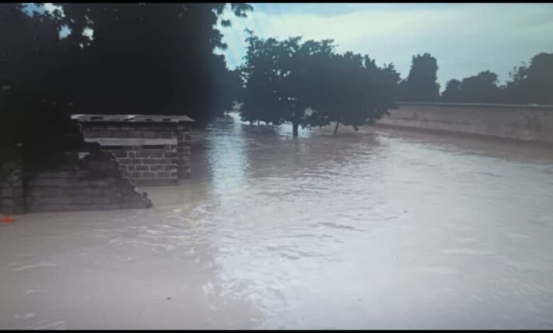 Flooded street with submerged stairway and trees, overcast sky.