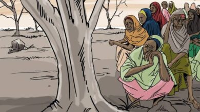 Illustration of a group of women in various colorful clothes sitting and standing in a barren landscape with sparse trees.