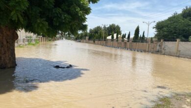 A street submerged in muddy floodwaters with trees and a fence line visible.