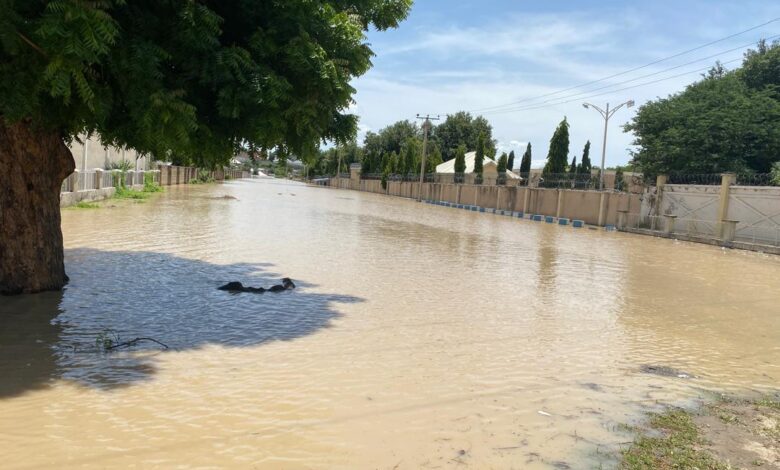 A street submerged in muddy floodwaters with trees and a fence line visible.