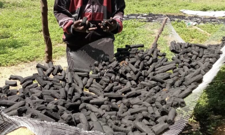 Person holding black charcoal pieces with a mesh hammock full of charcoal in the background.