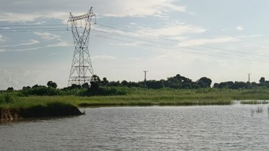 Electric pylon standing over lush greenery beside calm water.