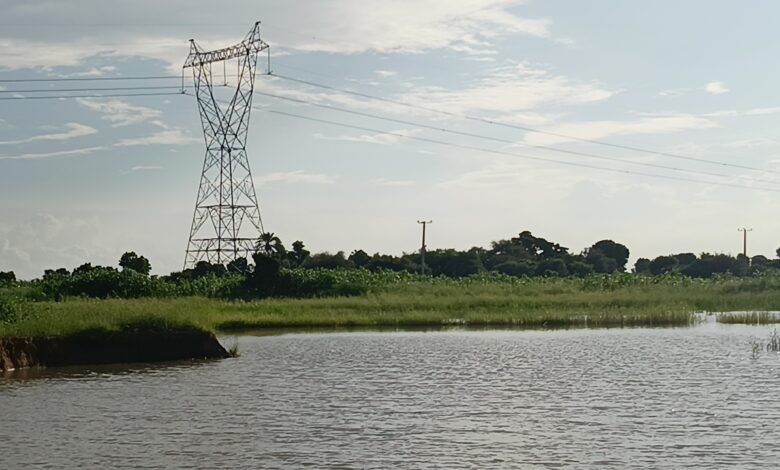 Electric pylon standing over lush greenery beside calm water.