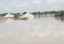 Flooded area with submerged buildings and tops of structures visible above water.