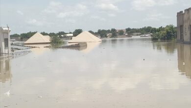 Flooded area with submerged buildings and tops of structures visible above water.