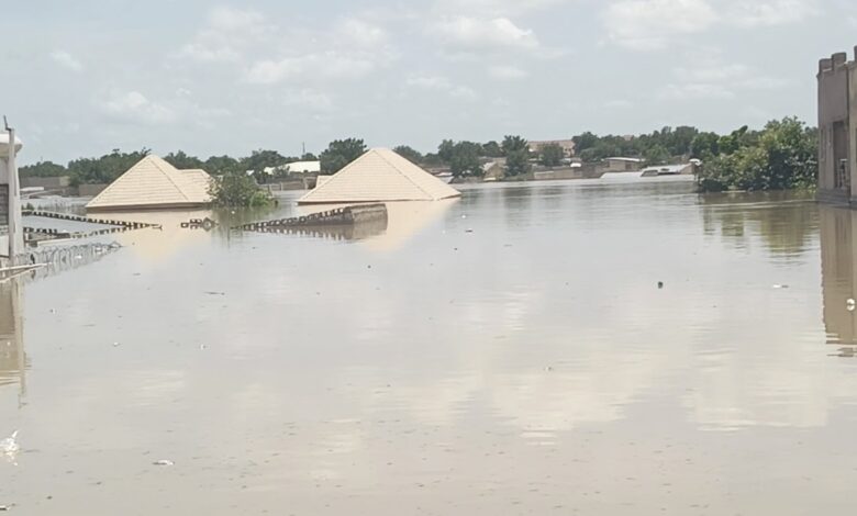 Flooded area with submerged buildings and tops of structures visible above water.