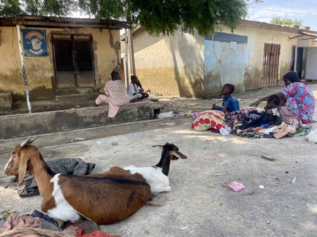 People and goats on a dusty roadside with a rundown building in the background.