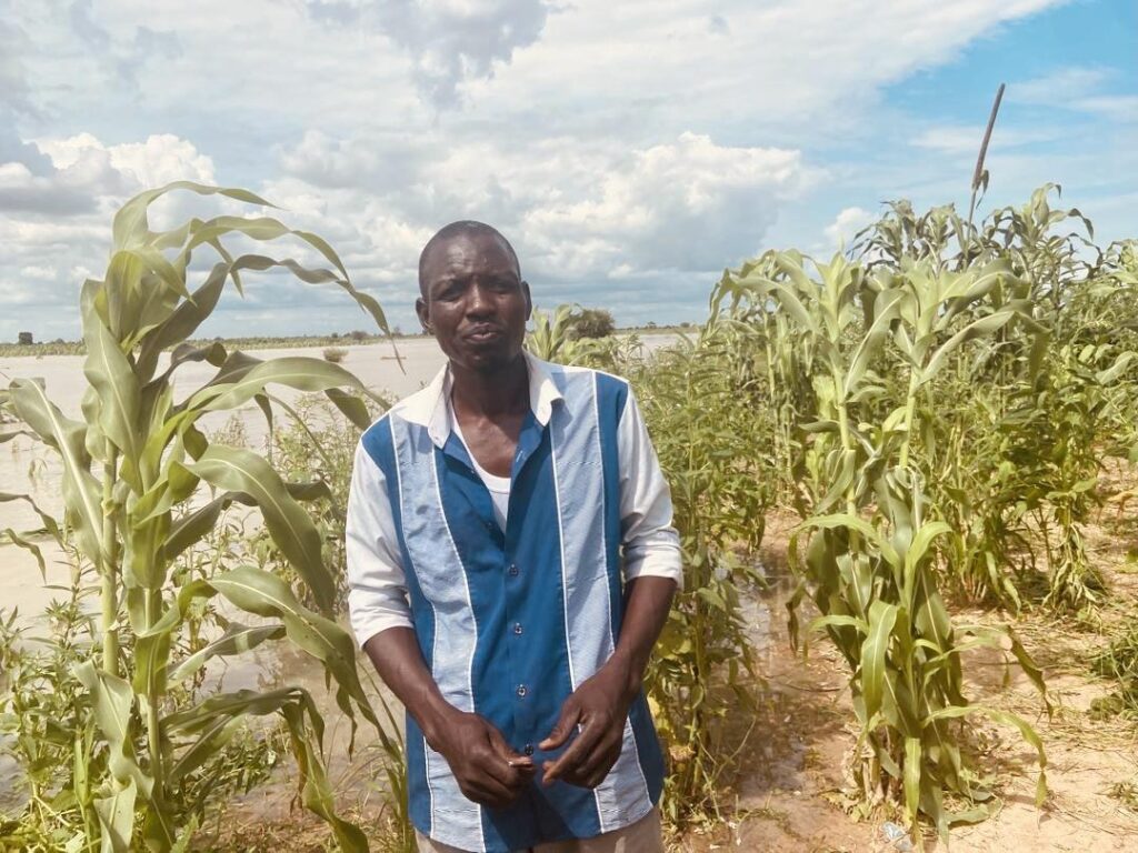 Man standing in a cornfield with cloudy blue sky in the background.