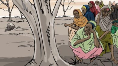 Illustration of a group of women sitting and standing in a dry, tree-dotted landscape.