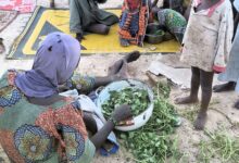 Person in a purple headscarf preparing greens with a child standing nearby on sandy ground.