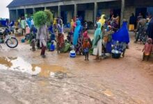 People at a market with a muddy ground, colorful clothing, and a person carrying greenery on their head.