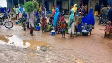 People at a market with a muddy ground, colorful clothing, and a person carrying greenery on their head.