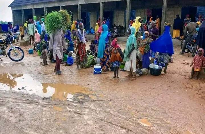 People at a market with a muddy ground, colorful clothing, and a person carrying greenery on their head.