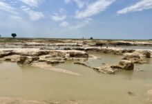 Sandy landscape with water pools under a cloudy sky, with sparse vegetation and distant figures.