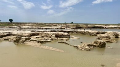 Sandy landscape with water pools under a cloudy sky, with sparse vegetation and distant figures.