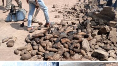 Two images showing traditional African cassava processing with people drying and burning roots in a village.