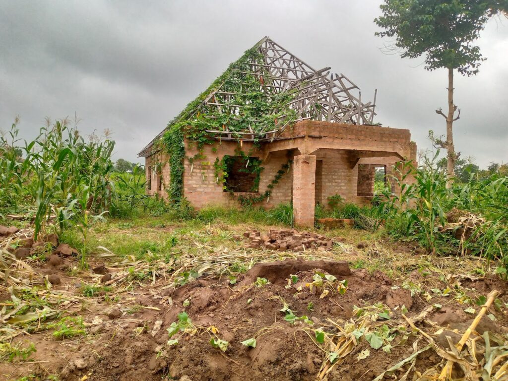 Unfinished brick house with wooden roof frame surrounded by maize plants under a cloudy sky.