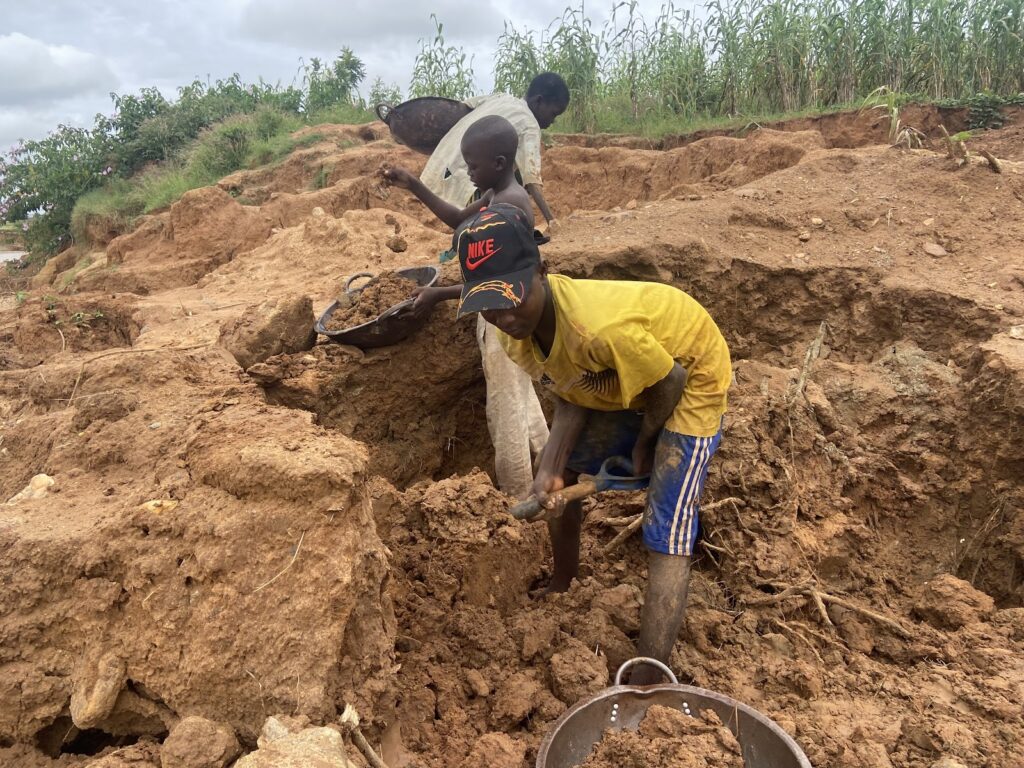 Two individuals digging and sifting soil in a rural area.