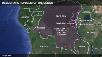 Map highlighting the Democratic Republic of the Congo with surrounding countries marked.