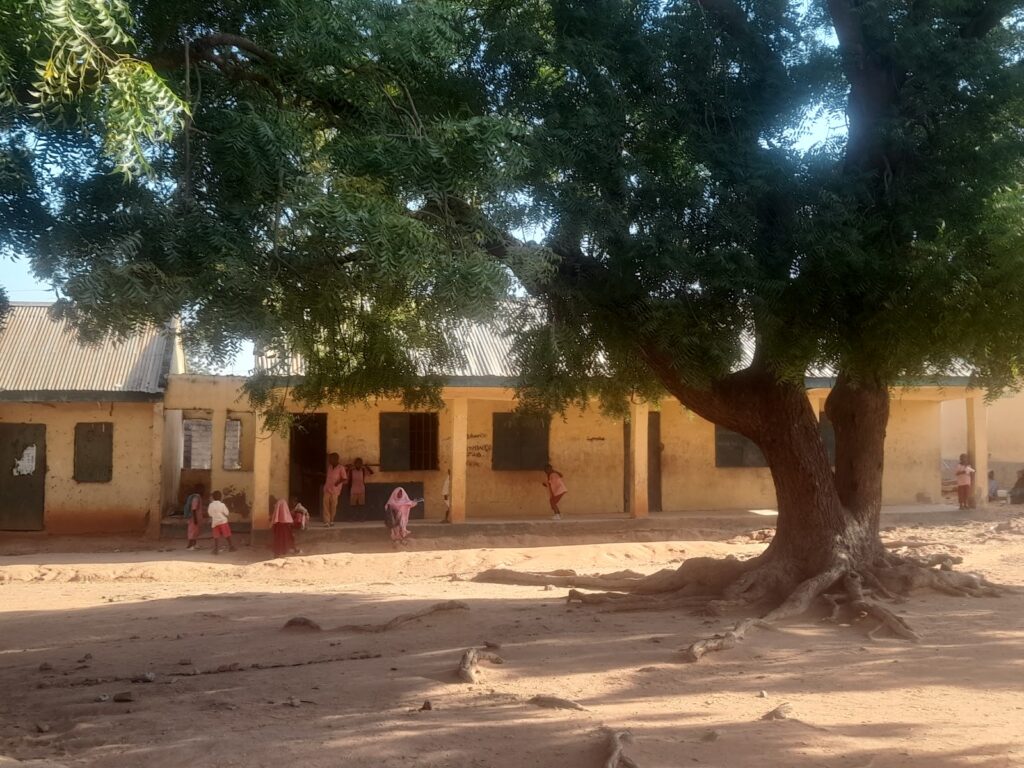 Children in pink uniforms outside a yellow schoolhouse under a large tree with expansive roots.