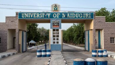 Entrance gate of the University of Maiduguri, labeled "Gate Two," with a person standing nearby.