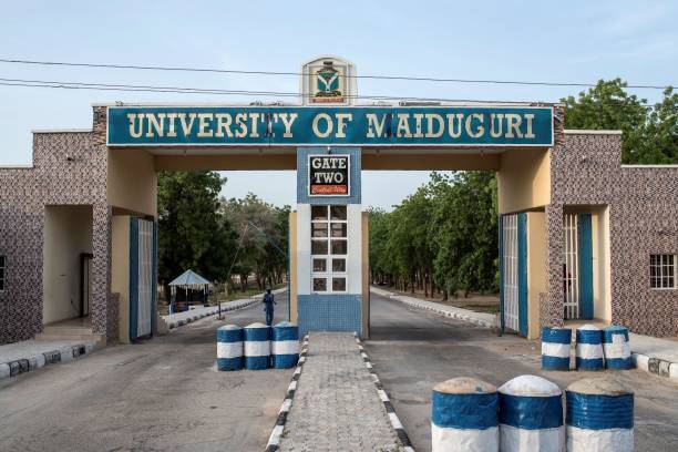 Entrance gate of the University of Maiduguri, labeled "Gate Two," with a person standing nearby.